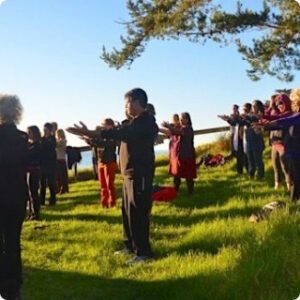 Group of individuals practicing Qigong outdoors on a lush green field under the sun, guided by an instructor, with a scenic ocean view in the background.