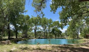 A blue pond surrounded by trees and grass at The Chi Center