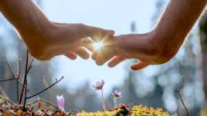 Hands gently cupping sunlight over blooming wildflowers in a serene outdoor setting, symbolizing connection and nurturing nature.