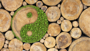 Artistic depiction of a Yin-Yang symbol formed by green leaves and tree rings, set against a background of stacked wooden logs, representing harmony between nature and balance.