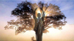 Silhouette of Master Mingtong Gu gracefully raising their arms in alignment with the radiant sunlight streaming through the branches of a majestic tree, symbolizing harmony, growth, and spiritual connection.