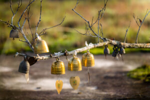 Close-up of golden and bronze bells hanging from a bare tree branch, gently swaying in a peaceful outdoor setting with a blurred natural background.