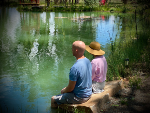 Peaceful garden setting featuring vibrant greenery, a serene seating area with red chairs, and a tranquil atmosphere perfect for relaxation and mindfulness.
