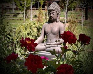 Serene Buddha statue in a peaceful garden surrounded by vibrant red flowers and lush greenery, embodying tranquility and mindfulness.