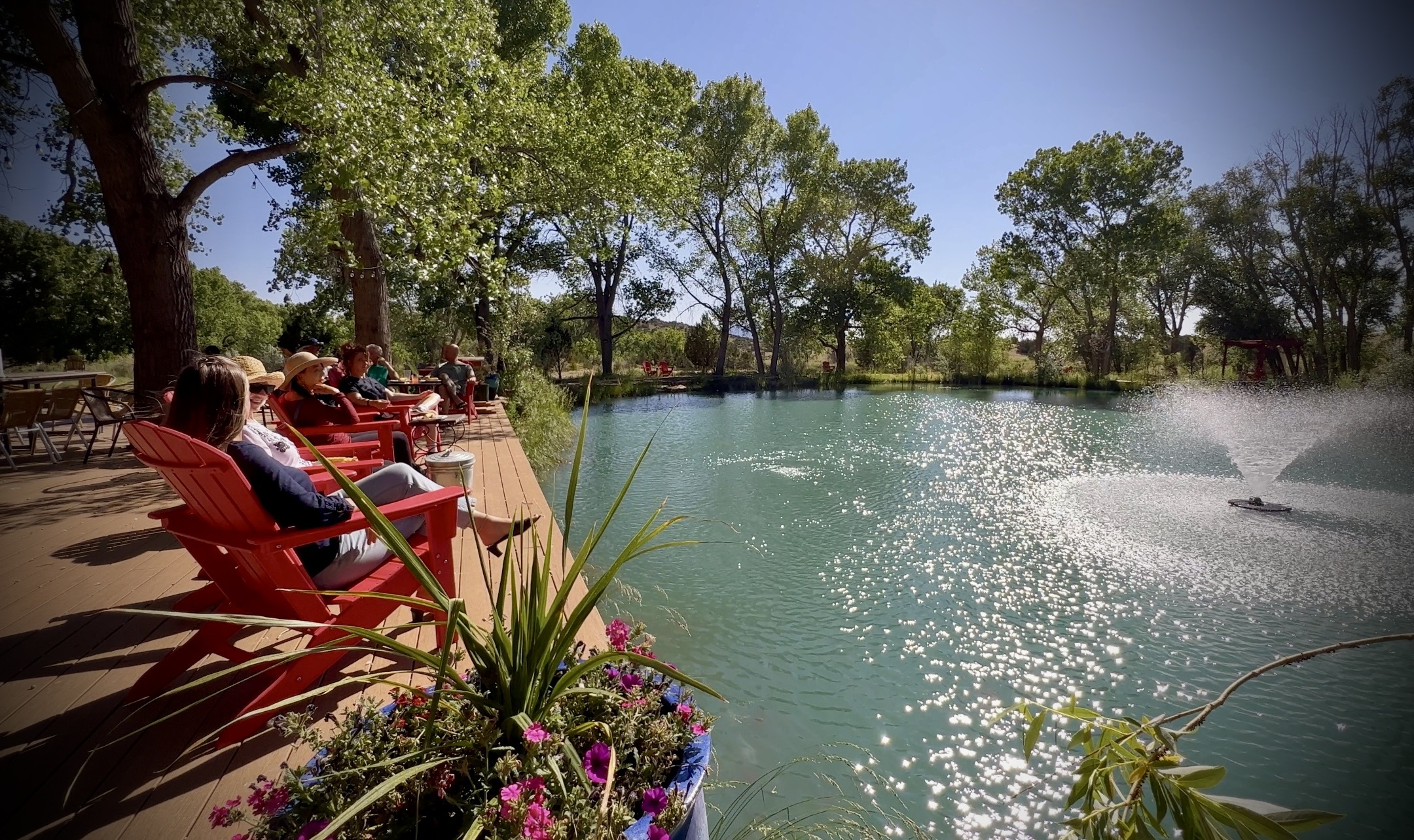 Tranquil view of the Chi Center's Koi Pond, surrounded by lush green trees under a clear blue sky, creating a serene and rejuvenating atmosphere for relaxation and meditation.
