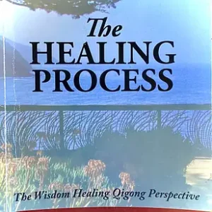 Cover image for 'The Healing Process: The Wisdom Healing Qigong Perspective,' featuring a tranquil coastal scene with a fence, flowers, and a calm ocean backdrop.