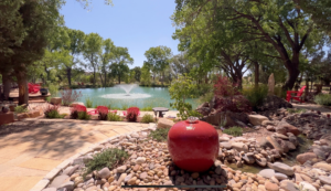 View of The Chi Center Koi Pond