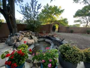 Outdoor dining yard surrounded by tall trees and lush greenery, with wooden tables and chairs set up under a clear blue sky, creating a peaceful and inviting atmosphere.