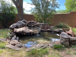 Peaceful view of the Meditation Pond at The Chi Center, featuring natural stone formations, cascading water, and lush greenery creating a serene atmosphere for reflection and tranquility.