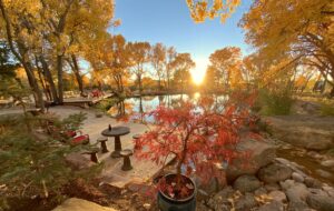 Scenic view of a serene pond surrounded by vibrant fall foliage at sunrise, with red maple trees, stone pathways, and seating areas creating a peaceful and picturesque natural setting.