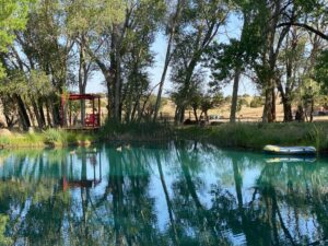 Peaceful view of the Chi Center Koi Pond surrounded by lush green trees, with a red gazebo and an inflatable raft reflecting on the calm turquoise water.