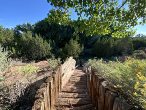 Rustic wooden trail leading into lush greenery with dense trees, wild shrubs, and bright yellow wildflowers, creating a serene pathway to the Grand Trees and Wilderness under a clear blue sky.