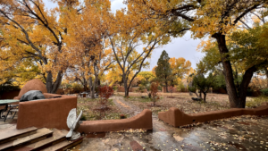 Scenic view of Bear Medicine Park with vibrant fall foliage, golden-hued trees, and glimpses of a clear blue sky, capturing a peaceful and natural setting.