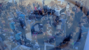 Group practice in the Chi Field within the Kiva, featuring participants engaging in collective Wisdom Healing Qigong movements, creating a unified energy of healing and connection.