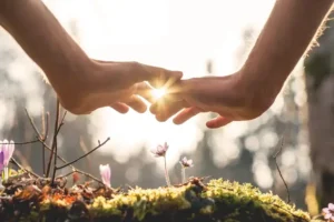 Hands gently framing sunlight over blooming wildflowers, symbolizing connection with nature, growth, and the nurturing energy of life.