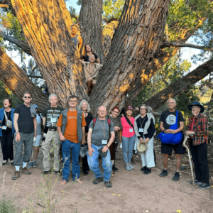 Group of people gathered around a massive, ancient tree during golden hour, some climbing and standing among its expansive branches, enjoying a shared outdoor experience.
