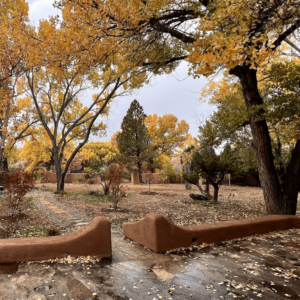 Peaceful autumn view of a courtyard with adobe walls, scattered golden leaves, and trees showcasing vibrant fall foliage.