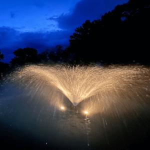 Illuminated fountain at night with golden water sprays creating a mesmerizing display against a deep blue twilight sky, surrounded by shadowed trees.
