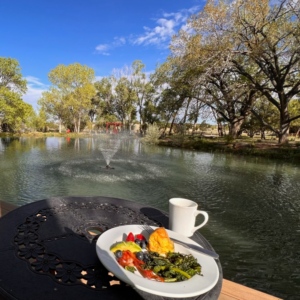 Scenic outdoor breakfast setup by a serene pond with a fountain, featuring a plate of fresh food and a cup of coffee on a wrought-iron table surrounded by lush greenery and blue skies.