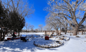 Peaceful winter landscape featuring snow-covered grounds, bare trees, a frozen pond, and outdoor seating