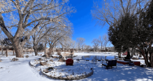Serene winter scene with snow-covered ground, bare trees, and a frozen pond surrounded by seating areas under a clear blue sky.