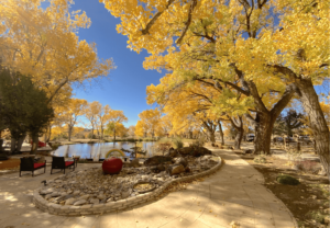 Tranquil outdoor scene featuring a pathway lined with vibrant yellow autumn trees