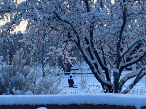 Serene snowy landscape featuring a Buddha statue surrounded by snow-covered trees and bushes, creating a tranquil winter scene.