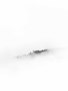 Minimalist black-and-white image of a foggy forest with tree silhouettes emerging through the mist, evoking a sense of calm and tranquility.