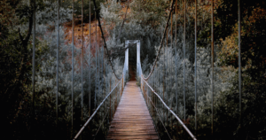 A rustic wooden suspension bridge stretches across a tranquil forest setting, shrouded in a serene mist. The bridge, framed by silver-toned foliage, symbolizes the journey of self-love, spirituality, and the quest for health and well-being, aligning with the practices of Wisdom Healing Qigong that emphasize balance and harmony with nature.