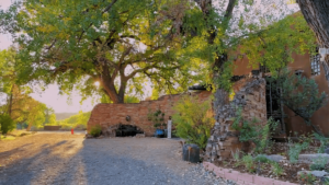 Sun-dappled path leading to The Chi Center, nestled among mature trees and rustic stone structures. This tranquil setting is ideal for Wisdom Healing Qigong practice, enhancing a connection with nature and fostering a deep sense of peace and rejuvenation.