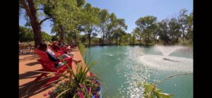 Attendees relax in vibrant red Adirondack chairs by a peaceful turquoise pond on Magical Sunday, with sunlight sparkling on the water's surface and a fountain gently creating ripples, surrounded by lush green trees.