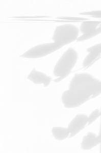 Soft shadows of leaves and stems against a light background, creating a delicate and minimalist pattern. The subtle interplay of light and shadow evokes a sense of calm and nature, ideal for themes of relaxation and introspection.