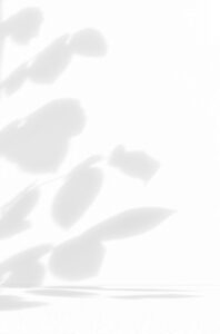 Soft shadows of leaves and stems against a light background, creating a delicate and minimalist pattern. The subtle interplay of light and shadow evokes a sense of calm and nature, ideal for themes of relaxation and introspection.