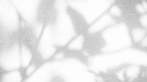 Soft shadows of leaves and branches cast on a textured white wall, creating a natural and serene pattern. The image conveys calmness and a connection to nature, ideal for themes of mindfulness and inner peace.