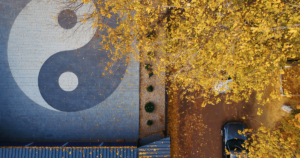 An aerial view of a large, circular yin-yang symbol laid out in a tiled area, partially covered by autumnal golden leaves from nearby trees. The scattered leaves add a dynamic, organic touch to the timeless symbol, reflecting the balance of opposites in life. This image captures the essence of Living Tao: A Journey of Collective Awakening and Profound Transformation, embodying unity, balance, and the natural cycles of transformation.
