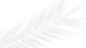 The image features a soft, blurred shadow of a palm or fern frond cast on a white background. The delicate leaf shapes create an abstract, natural texture that adds a sense of calm and subtle depth to the image, reminiscent of gentle sunlight filtering through foliage. The overall effect is airy and light, evoking a tropical or tranquil outdoor atmosphere.