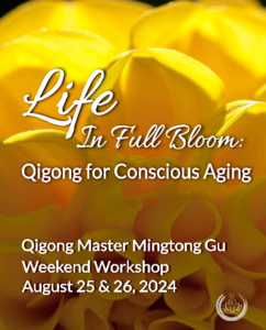 Promotional graphic for the 'Life In Full Bloom: Qigong for Conscious Aging' weekend workshop with Qigong Master Mingtong Gu. The background features a vibrant yellow flower in full bloom, symbolizing vitality and growth. This visual emphasizes themes of conscious aging, personal growth, and wellness through Qigong practice.