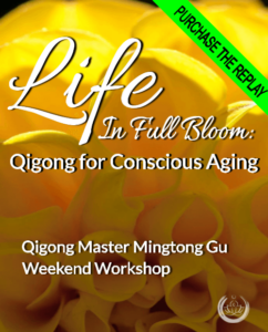 Promotional graphic for the 'Life In Full Bloom: Qigong for Conscious Aging' weekend workshop with Qigong Master Mingtong Gu. The background features a vibrant yellow flower in full bloom, symbolizing vitality and growth. A green banner in the top right corner reads 'Purchase the Replay,' indicating that recordings of the workshop are available for purchase. This visual emphasizes themes of conscious aging, personal growth, and wellness through Qigong practice.