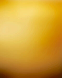 A soft, warm gradient background in golden and amber hues, transitioning smoothly from lighter to darker tones. This abstract design exudes a sense of calm, balance, and gentle energy flow, symbolizing the warmth, richness, and wisdom of aging. The gradient effect suggests the journey of life’s stages, making it an ideal visual representation for the theme of Qigong for Conscious Aging