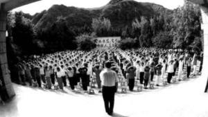 Large group practicing Qigong outdoors, guided by an instructor, demonstrating the unity and energy flow central to the practice.