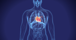 Illustration of a human body highlighting the heart, symbolizing sound healing Qigong for mind and body connection, with energy flow visualization