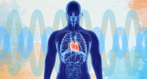 Illustration of a human body highlighting the heart in bright red and surrounded by a transparent blue outline of internal organs, set against a background of gentle blue and orange waves. The image evokes concepts of body healing and sound healing Qigong, symbolizing energy flow, holistic health, and the transformative power of vibrational healing.