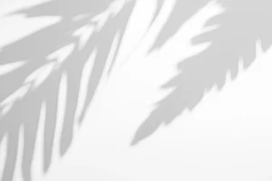 Soft shadows of palm leaves cast on a light background, evoking a tranquil atmosphere suitable for a fall retreat focused on reflection and sharing testimonials. The gentle play of light and shadow suggests peace, relaxation, and a connection to nature.