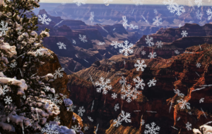 Snow-covered tree overlooking the majestic Grand Canyon with decorative snowflakes adding a festive touch to the winter landscape