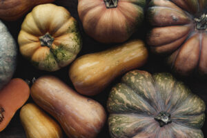 Close-up of rustic autumn gourds and squashes showcasing natural textures and earthy tones, perfect for fall harvest themes.