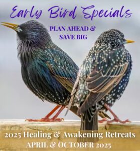 Promotional graphic for 'Early Bird Specials' featuring two vibrant starlings perched on a wooden railing, highlighting 2025 Healing & Awakening Retreats scheduled for April and October 2025, with the tagline 'Plan Ahead & Save Big.'