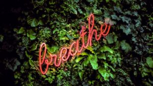 A glowing pink neon sign that reads "breathe" set against a lush green wall of plants and foliage, symbolizing relaxation, mindfulness, and connection with nature.