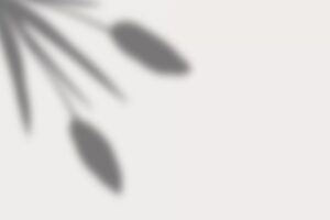 Minimalist background with soft gray leaf silhouettes.
