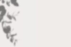 Minimalist background with soft gray leaf silhouettes.