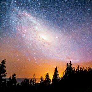 Stunning night sky filled with stars and a swirling galaxy above a silhouette of pine trees, with a warm orange glow on the horizon